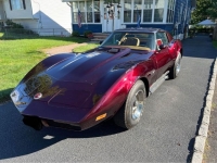 1974 Chevrolet Corvette for sale in Michigan (ID-133493)