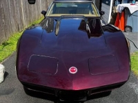 1974 Chevrolet Corvette for sale in Michigan (ID-133493)