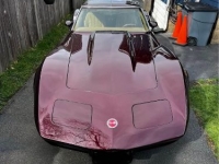 1974 Chevrolet Corvette for sale in Michigan (ID-133493)