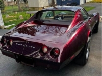 1974 Chevrolet Corvette for sale in Michigan (ID-133493)