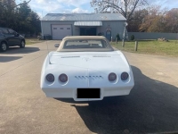 1974 Chevrolet Corvette for sale in Michigan (ID-136033)