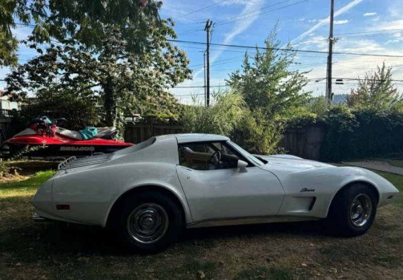 1974 Chevrolet Corvette for sale in Michigan (ID-140134)