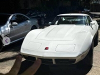 1974 Chevrolet Corvette for sale in Michigan (ID-140134)