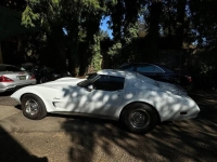 1974 Chevrolet Corvette for sale in Michigan (ID-140134)