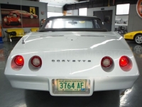 1974 Chevrolet Corvette for sale in Michigan (ID-140460)