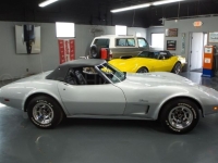 1974 Chevrolet Corvette for sale in Michigan (ID-140460)