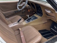 1974 Chevrolet Corvette for sale in Michigan (ID-155623)