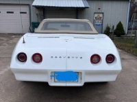 1974 Chevrolet Corvette for sale in Michigan (ID-155623)