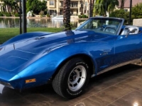 1974 Chevrolet Corvette for sale in Michigan (ID-163481)