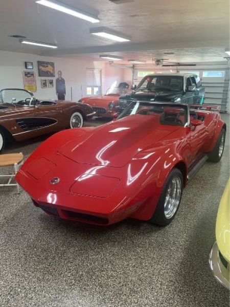 1974 Chevrolet Corvette for sale in Michigan (ID-163874)