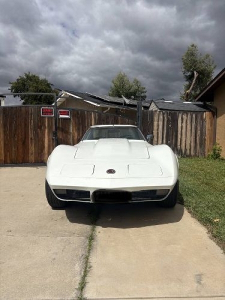 1974 Chevrolet Corvette for sale in Michigan (ID-163965)