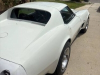 1974 Chevrolet Corvette for sale in Michigan (ID-163965)