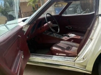 1974 Chevrolet Corvette for sale in Michigan (ID-163965)