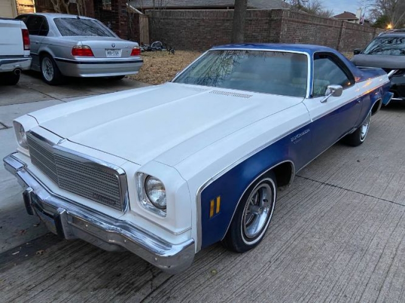 1974 Chevrolet El Camino for sale in Michigan (ID-96422)