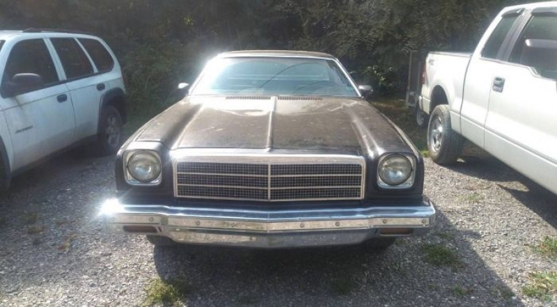 1974 Chevrolet El Camino for sale in Michigan (ID-120334)