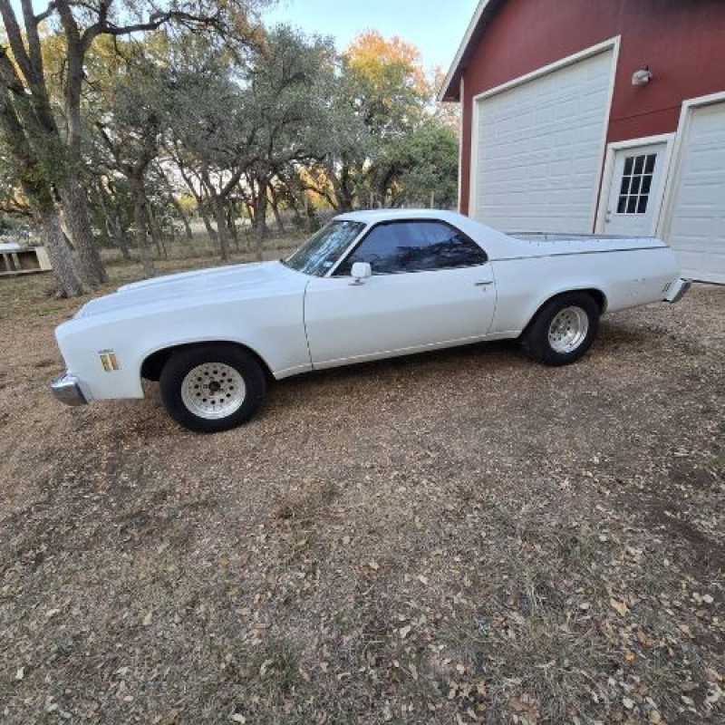 1974 Chevrolet El Camino for sale in Michigan (ID-161144)