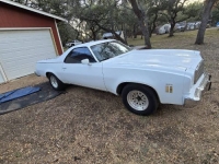 1974 Chevrolet El Camino for sale in Michigan (ID-161144)
