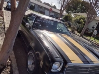 1974 Chevrolet El Camino for sale in Michigan (ID-164130)