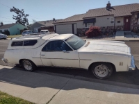 1974 Chevrolet El Camino for sale in Michigan (ID-164130)