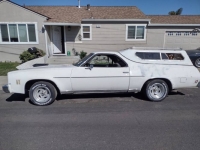 1974 Chevrolet El Camino for sale in Michigan (ID-164130)