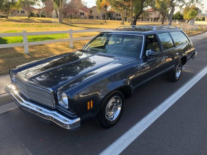 1974 Chevrolet Malibu for sale in Michigan (ID-95593)