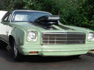 1974 Chevrolet Malibu for sale