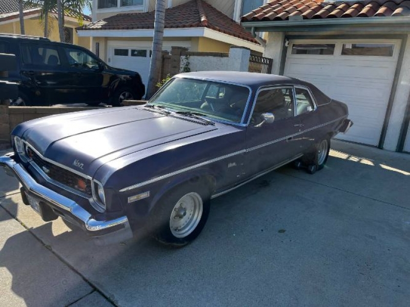 1974 Chevrolet Nova for sale in Michigan (ID-113572)