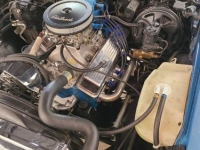 1974 Chevrolet Nova for sale in Michigan (ID-116311)