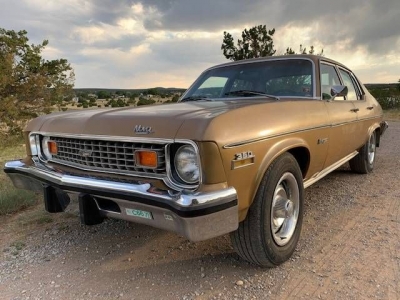 1974 Chevrolet Nova for sale