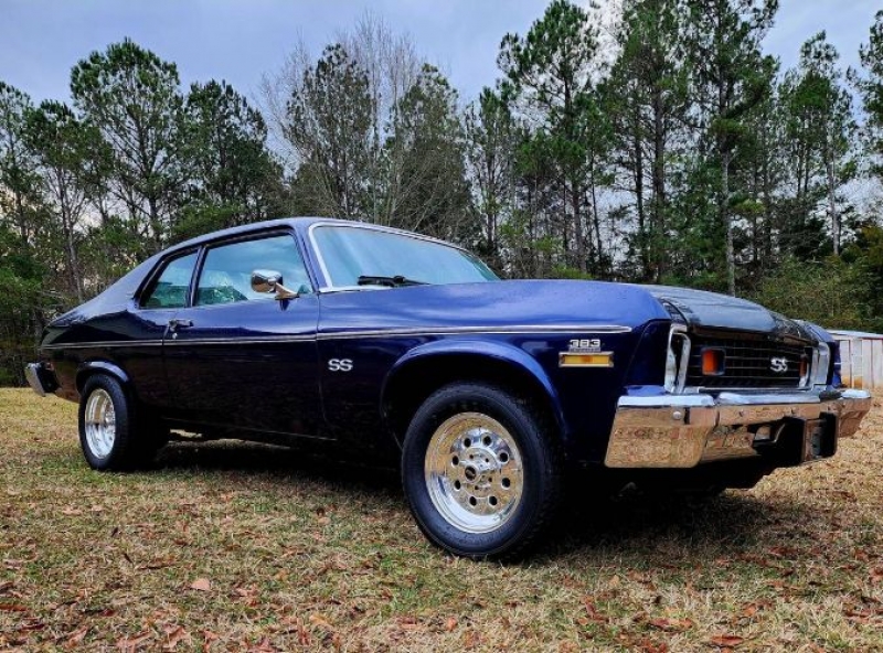 1974 Chevrolet Nova for sale in Michigan (ID-124833)