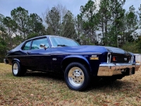 1974 Chevrolet Nova for sale in Michigan (ID-124833)
