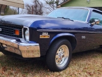 1974 Chevrolet Nova for sale in Michigan (ID-124833)