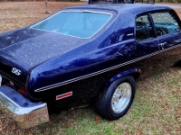 1974 Chevrolet Nova for sale in Michigan (ID-124833)