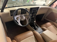 1974 Chevrolet Nova for sale in Michigan (ID-127387)