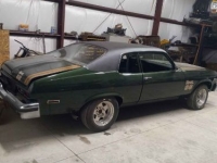 1974 Chevrolet Nova for sale in Michigan (ID-130998)