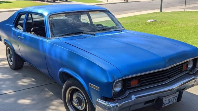 1974 Chevrolet Nova for sale in Michigan (ID-137149)