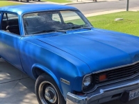 1974 Chevrolet Nova for sale in Michigan (ID-137149)