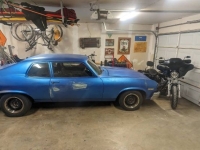 1974 Chevrolet Nova for sale in Michigan (ID-137149)