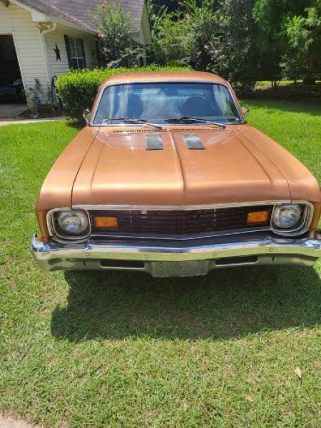 1974 Chevrolet Nova for sale in Michigan (ID-146839)