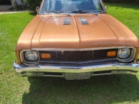 1974 Chevrolet Nova for sale in Michigan (ID-146839)