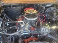 1974 Chevrolet Nova for sale in Michigan (ID-146839)