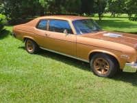 1974 Chevrolet Nova for sale in Michigan (ID-146839)