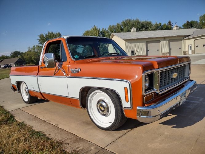 1974 Chevrolet Pickup for sale in Michigan (ID-120761)