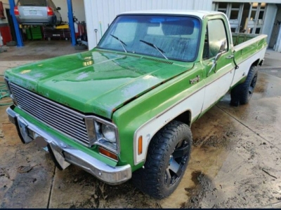 1974 Chevrolet Pickup for sale