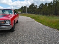 1974 Dodge Dart for sale in Riverhead, New York (ID-130392)