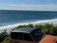 1974 Ford Bronco for sale in Michigan (ID-123750)