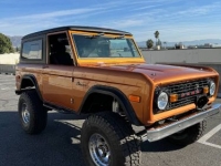 1974 Ford Bronco for sale in Michigan (ID-123750)