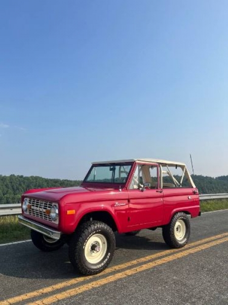 1974 Ford Bronco for sale in Michigan (ID-124108)