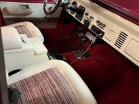 1974 Ford Bronco for sale in Michigan (ID-124108)