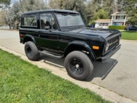 1974 Ford Bronco for sale in Michigan (ID-140565)